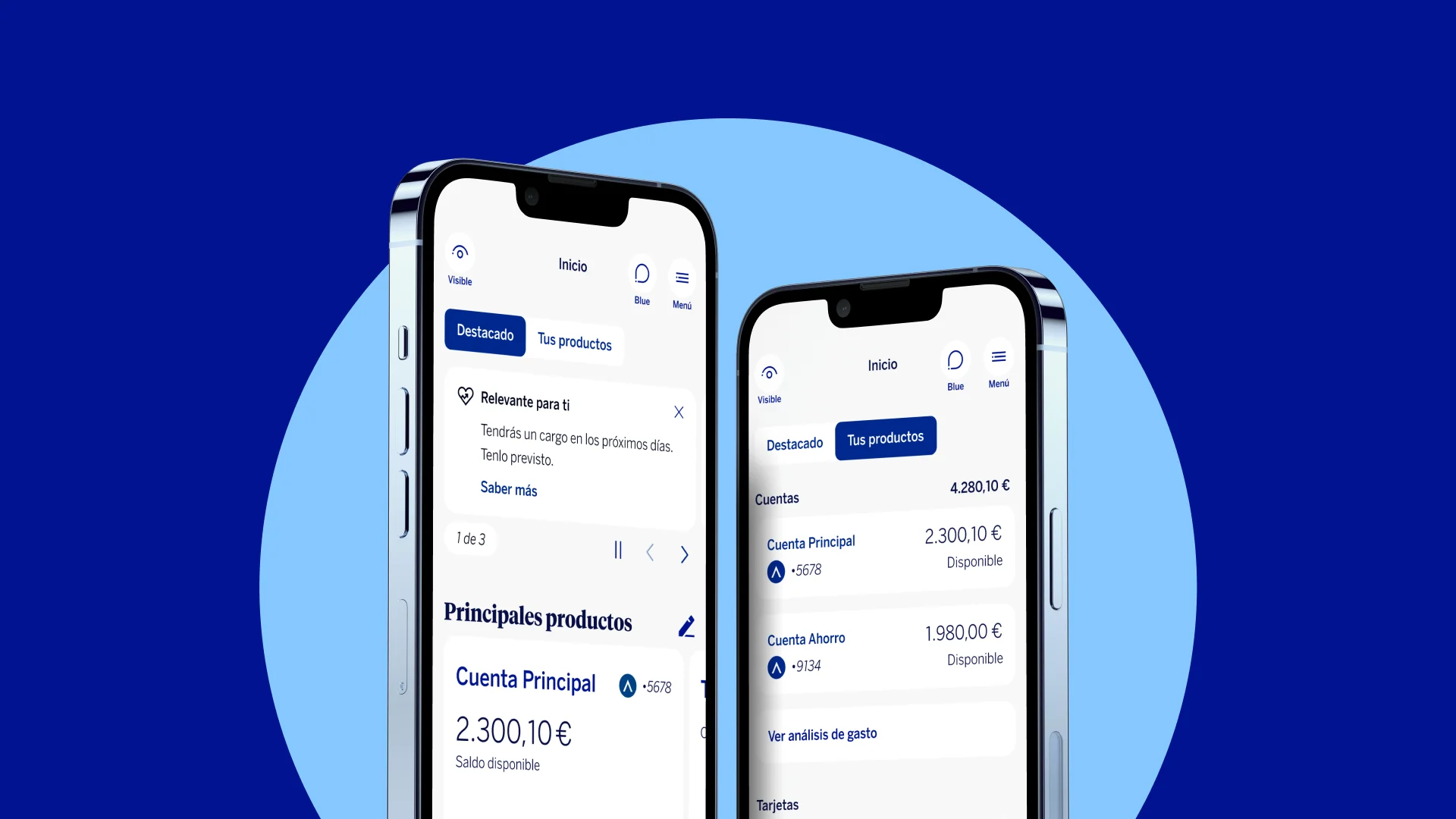 BBVA project screenshot
